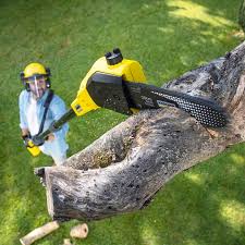 Best Aeration Services  in Rodeo, CA